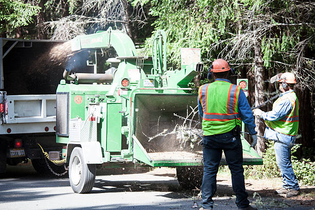 Best Seasonal Cleanup (Spring/Fall)  in Lake Brownwood, TX