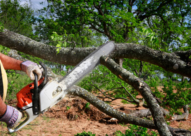 Lawn Irrigation Installation and Maintenance in Lake Brownwood, TX